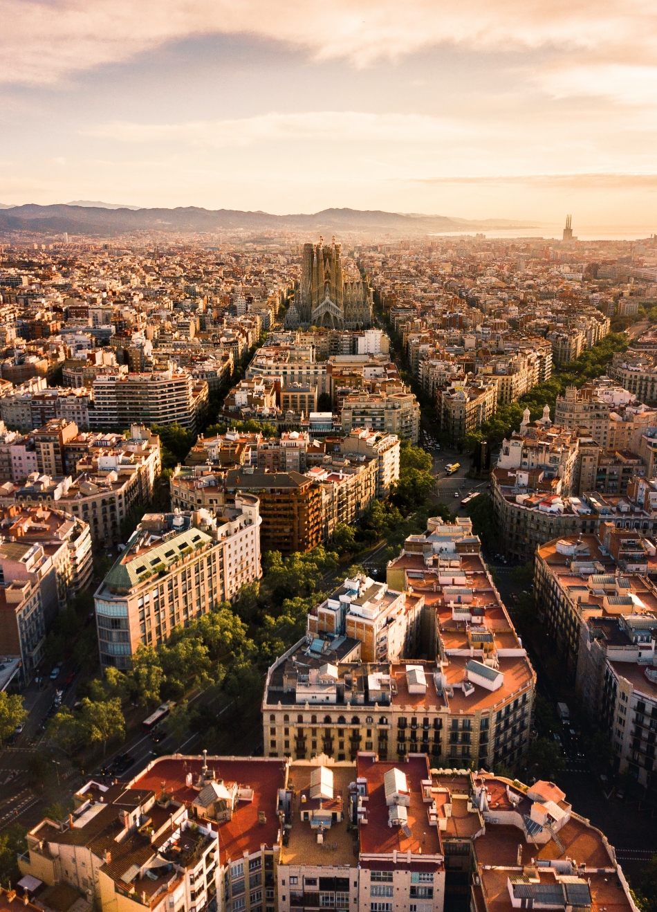 barcelona panoramica tasinsa