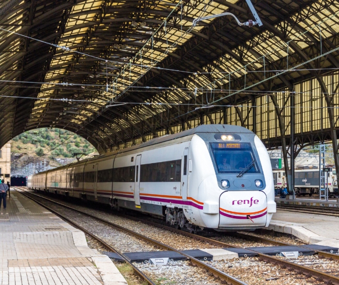 tren renfe tasinsa